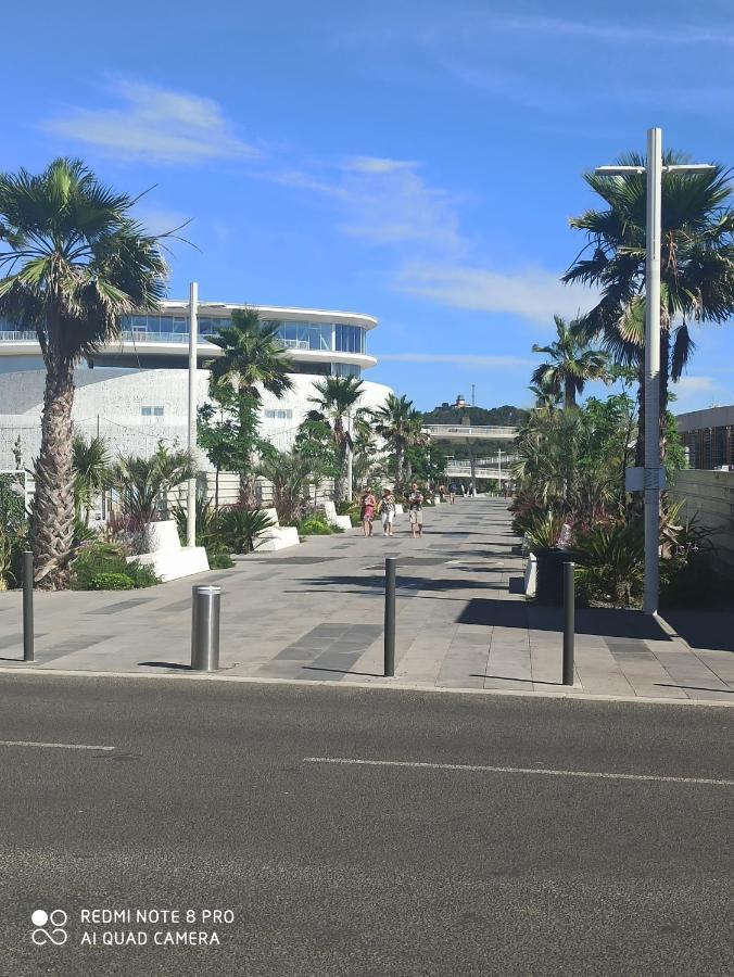 Port Piscine, Parking, Prive,navette Aeroport Apartment Agde