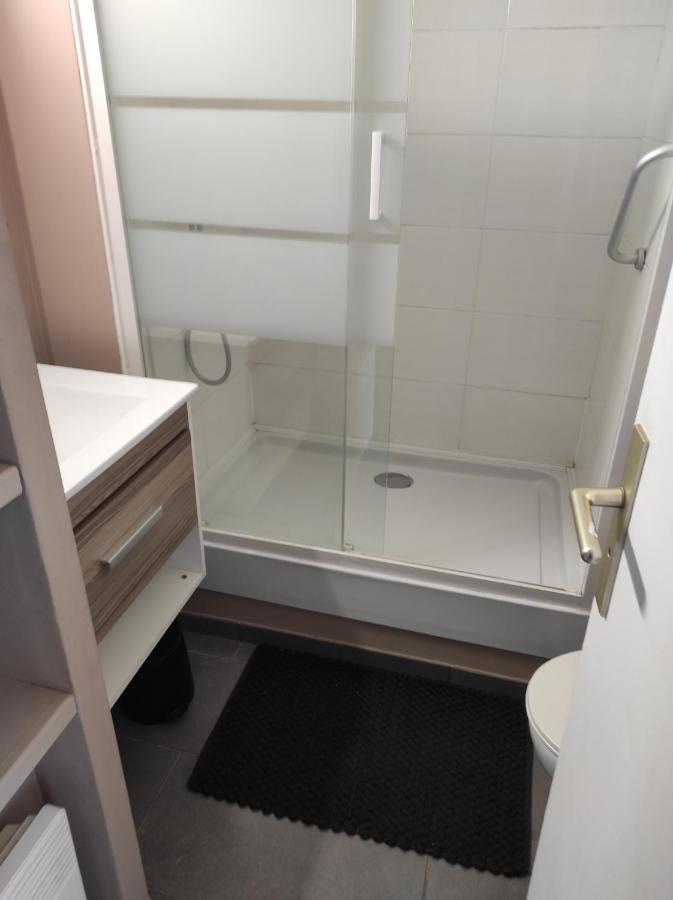 Port Piscine, Parking, Prive,navette Aeroport Apartment